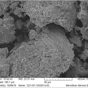 Asbesthaltiger Serpentinit - Aufnahme mit dem Elektronenmikroscop